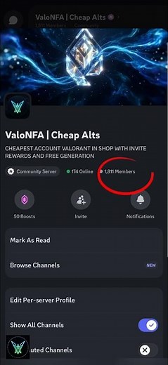 Valorant NFA skin accounts