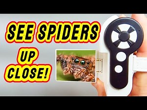 Handheld Digital Microscope Review