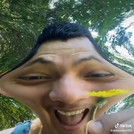 The Last Dandelion: Sid's Adventure in Ice Age