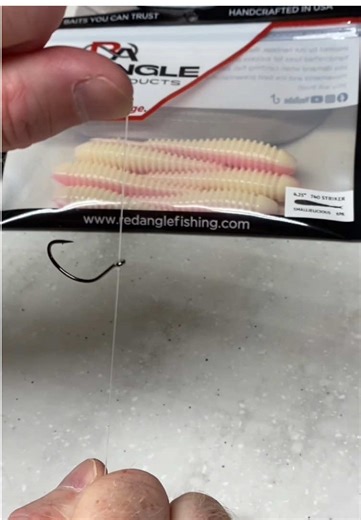 Double Pass-Through Drop Shot Fishing Knot #fishingknot #fishingtips #dropshotfishing #fyp #fishing