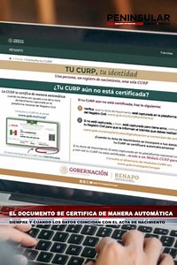 10K views · 65 reactions | ¿CÓMO CERTIFICAR LA CURP EN MÉXICO?  | Peninsular Punto Medio | Facebook