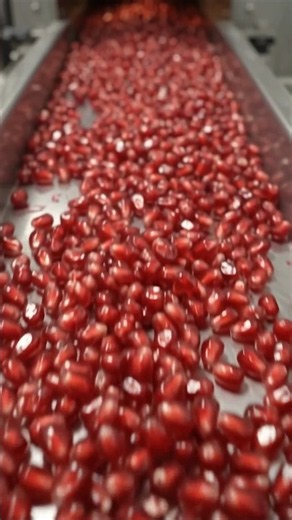 How Fresh Pomegranate Becomes Dried Seeds | Complete Factory Processl