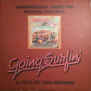 Various - Soundtrack From The Motion Picture Going Surfin’