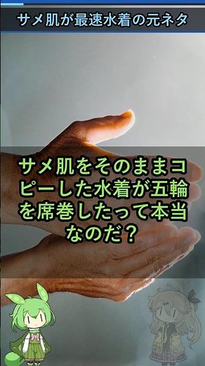 サメ肌は世界最速の水着に進化した天才構造の話＃科学＃ゆっくり解説＃雑学 #shorts