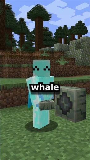 What If Minecraft had Whales | Whaleborne Mod