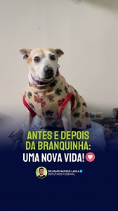 156K views · 9.7K reactions | ANTES E DEPOIS DA BRANQUINHA: UMA NOVA...