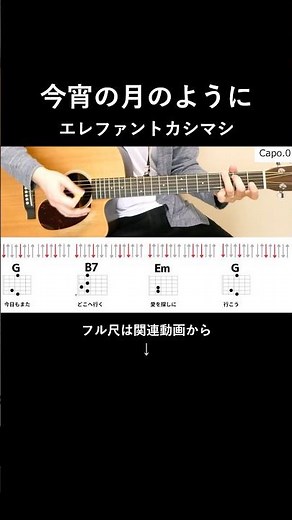 エレファントカシマシさんの「今宵の月のように」を弾き語りするなら参考にしてみてください #アコギ #弾き語り #コード #ストローク #エレファントカシマシ