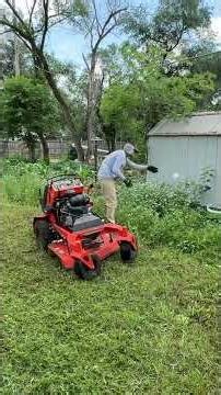 If your neighbor needs help, tag them and subscribe #shorts#youtubeshorts#lawnmowing#lawncare