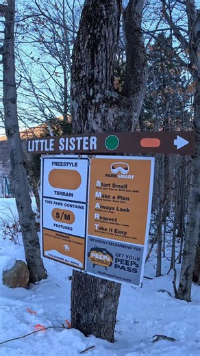 loonparksnh on Instagram: "New park = new showcase. Come check out the Little Sister setup. 💪 Shot 100% on @gopro"