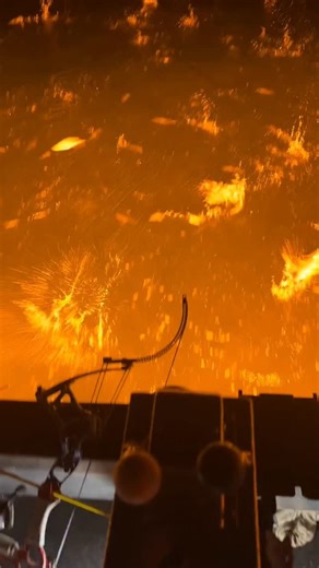 Endless amounts of bait fish! @efishnsee_bowfishing_lights @mudbuddymotors @muzzy.bowfishing | Wisco Wild Man