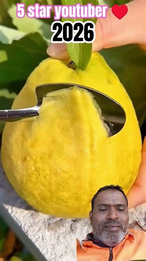 do you like fresh guava? - Fruit Cutting Skills!