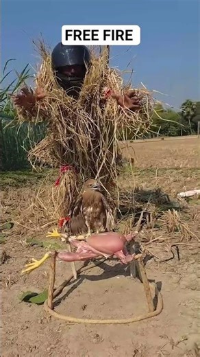 eggless cake mix recipes