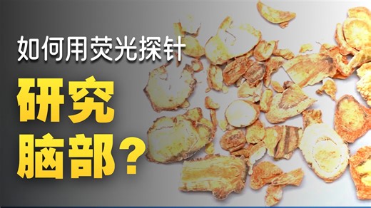 1 新维创：CY5-川芎嗪复合物兼具生物活性与荧光特性