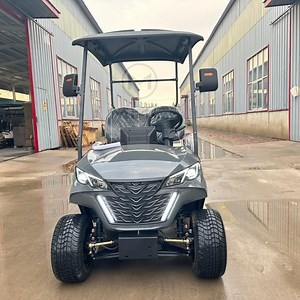 [Hot Item] Hunting Golf Cart Tourist Utility Patrol Buggy Cart Electric 2 Seat Club Car 48V 72V Lithium Golf Cart 6 Seater