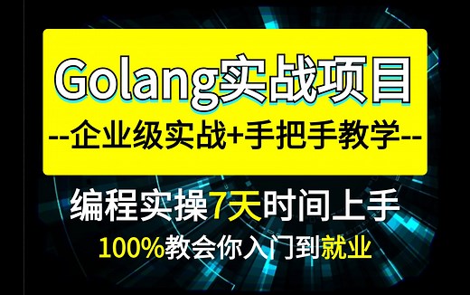 【Golang项目实战】附源码！全站最新18个golang实战项目练习！零基础小白练完秒变编程大佬！练完你的Golang就牛了！