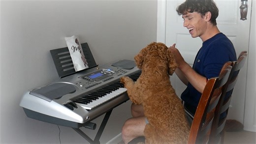 Teaching My Dog to Play the Piano: Clever Pet Skills
