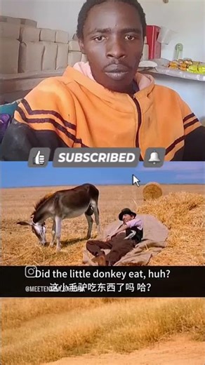 try not to laugh..#shorts