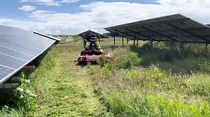 Grass Cutting at a 70 Acre Solar Farm in Wales