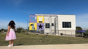 1.6K views · 73 reactions | One of the defining characteristics of...