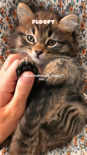 What makes you happy? | Floofy | Facebook