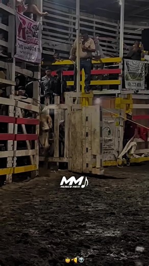 19-10-24 Bajo Rodríguez San Ramón Monta de exhibición @rancherosdelmirav Dedicado a mis patrocinadores @ElMelicoCh @silvertecoyote #elcoyoteyelzanate #costarica🇨🇷 #montadetoros🤠🔥 #montaguape #rustico #toros #fiestas #bulls #CapCut #tik_tok