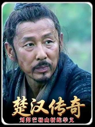汉高祖刘邦骊山徭役失期纵徒亡命， 芒砀山斩蛇举义初启反秦宏图。#楚汉传奇 #深度解析 #抖音精选 #了不起的精讲团 #青年创作者计划