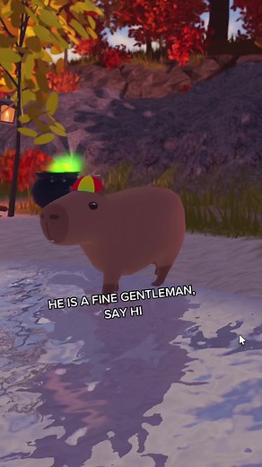 Whosetrade on TikTok