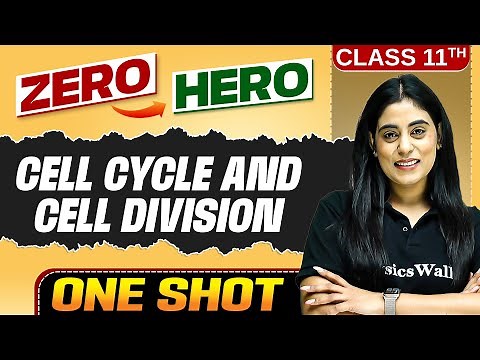 Cell Cycle And Cell Division | Full Chapter in ONE SHOT | Chapter 10 | Class 11 Biology 🔥