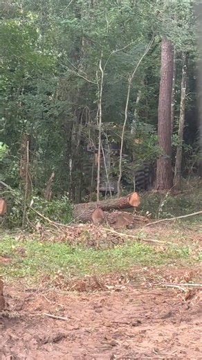 Logger work #fypシ #fyp #trucking #loggingcrew #loggers #truck #westernstar #canada #workhard #logging | Sander Young