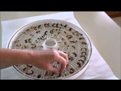 Dehydrating mushrooms and tips