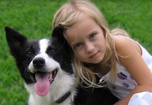 Instructional Videos - Hidden Fence