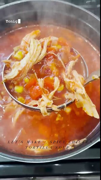 Spicy chicken tortilla soup for an easy weeknight dinner