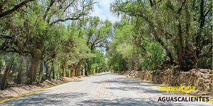 El Camino Real de Tierra Adentro y Aguascalientes