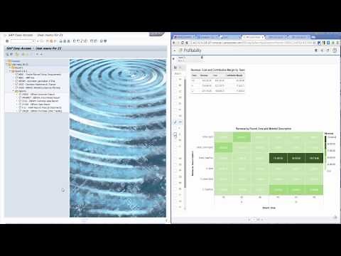 SAP R/3 GUI VS S/4HANA Fiori Launchpad