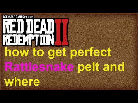red dead redemption 2 how to get perfect Rattlesnake pelt and where