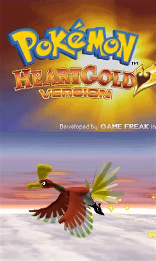 The Pokémon HGSS experience…