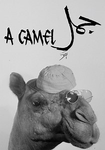 A Camel streaming: where to watch movie online?