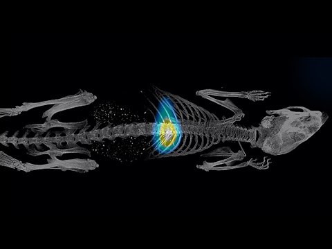Magnetic Particle Imaging Virtual Launch and Webinar, Monash University