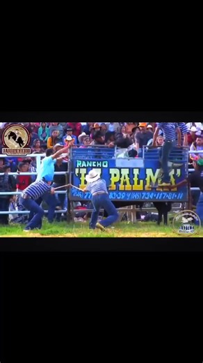 La Bravura y El Poder Del Toro Mexicano “EL RÁPIDO Y FURIOSO”🔥 De Rancho La Palma 📹Jaripeyero de Corazón | Puerta Caporales