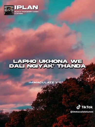 Dlala Thukzin – iPlan ft Zaba & Sykes ( Lyrics & English Translation) #immaculatetunes #SAMA28 #dlalathukzin