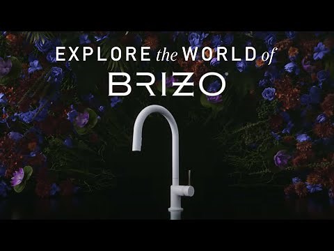 Explore the World of Brizo®