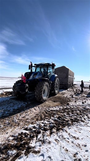 Exploring the Features of iPhone 13