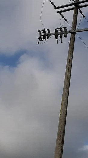 Exploring Electrical Transformers on Utility Poles