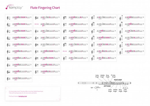 Flute fingering chart - Interactive tool for all flute players