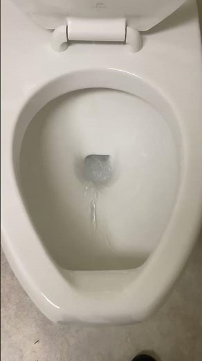 2000’s Kohler Kingston Toilet Flush!