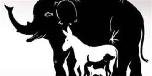 How many animals can you see? Only the sharpest of eyes will spot all 16