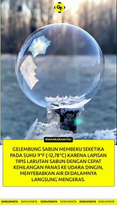 Pembekuan yang cepat ini menangkap struktur gelembung yang halus sebelum gelembung tersebut pecah. | geniusfakta
