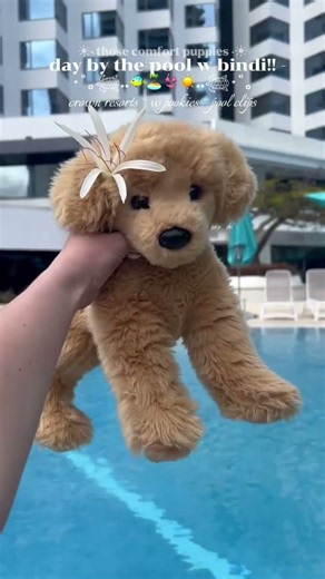 crown post!!🥹 | post 10-2k!!| #emotionalsupportstuffedanimal #essa #goviral #essacommunity 