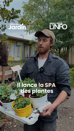 832K views · 22K reactions | LA SPA, MAIS POUR LES PLANTES, ÇA...