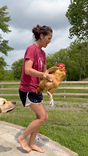 Our rooster’s been chasing and attacking the kids so we tried this hilarious trick to get him to stop 🐓 *no chickens, humans or dogs were hurt in the making of this film… even though Tug SUPER wanted to eat him 😂 | Story of This Life